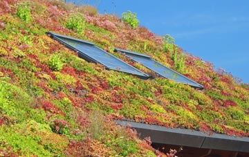 Adlington living roof systems
